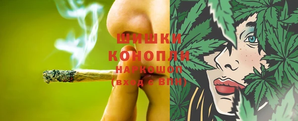 стафф Краснослободск