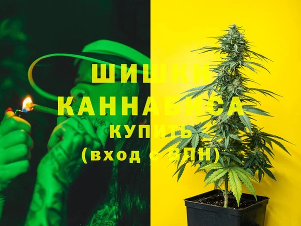 стафф Краснослободск