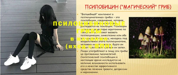 ALPHA PVP Краснотурьинск